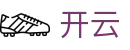 开云(kaiyun)中国官方网站 - 中文首页